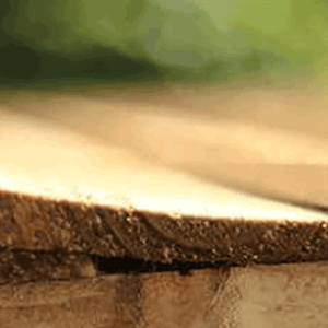 Featheredge board 125mm