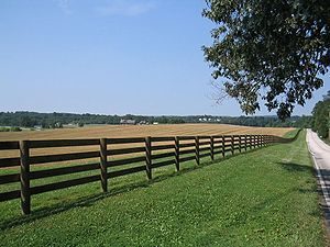 Fencing