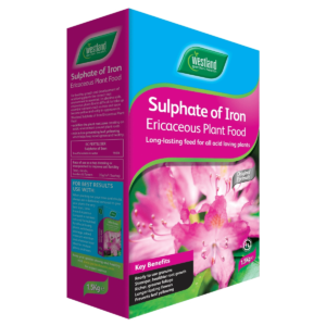 Sulphate of iron