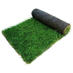 Turf