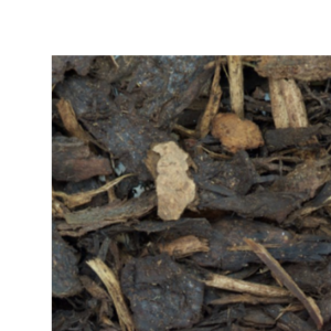 15-60mm pine playgrade bark
